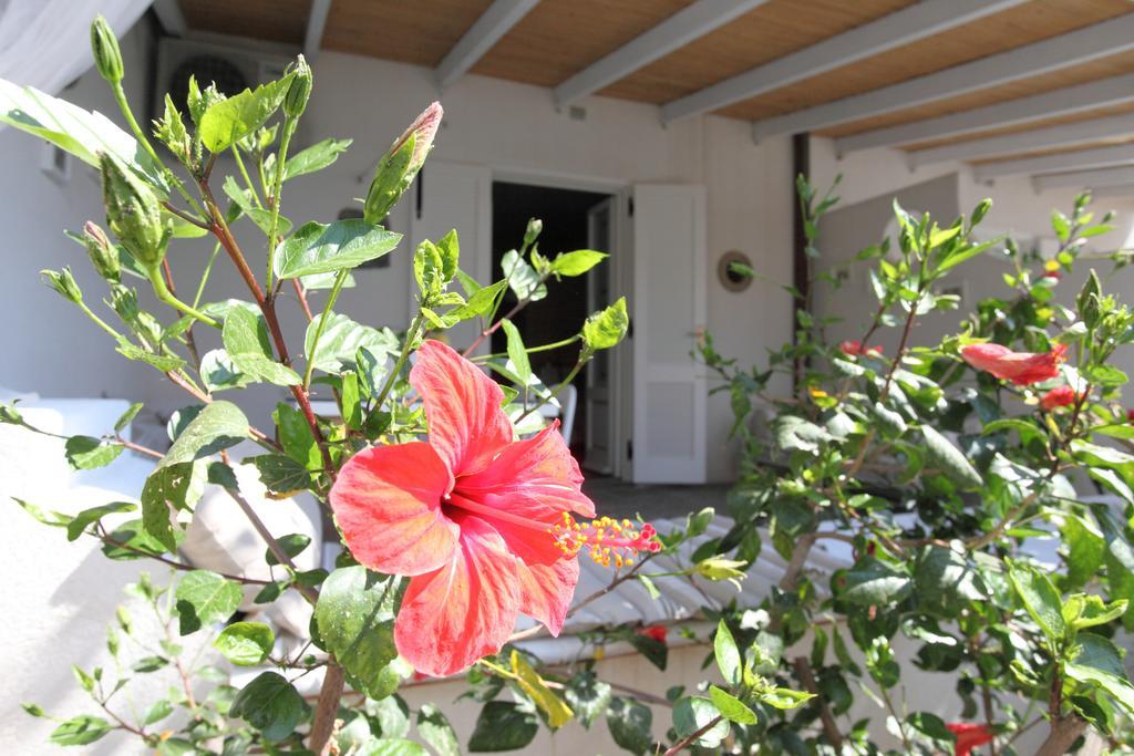 Villa Sea Rose Lipari (Isola Lipari) Quarto foto