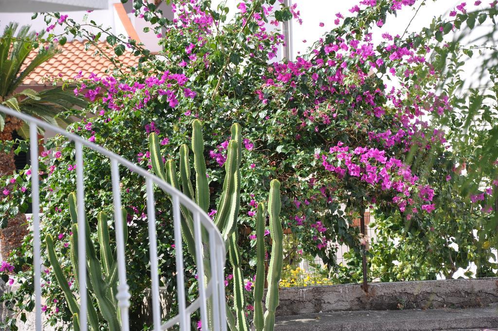 Villa Sea Rose Lipari (Isola Lipari) Exterior foto